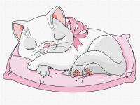 Opakowanie Malowanie po numerach - Piękny kotek 30x40cm