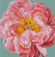 Malowanie po numerach - Pink kiss 40x40cm. Wydawca: Ideyka. SmakLiter.pl Opakowanie Malowanie po numerach - Pink kiss 40x40cm