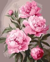 Opakowanie Malowanie po numerach - Piwonia 40x50cm