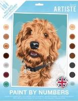 Malowanie po numerach - Playful Labradoodle. Wydawca: Dalprint. SmakLiter.pl Opakowanie Malowanie po numerach - Playful Labradoodle