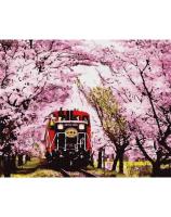 Opakowanie Malowanie po numerach - Pociąg na wiosnę 40x50cm