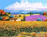 Opakowanie Malowanie po numerach - Pole kwiatowe 40x50cm