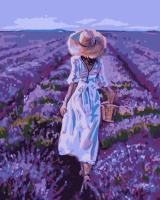 Opakowanie Malowanie po numerach - Pole lawendy 40x50cm