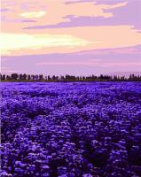 Opakowanie Malowanie po numerach - Południe Francji 40x50cm