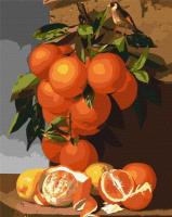 Malowanie po numerach - Pomarańcze i cytryny 40x50. Wydawca: Ideyka. SmakLiter.pl Opakowanie Malowanie po numerach - Pomarańcze i cytryny 40x50