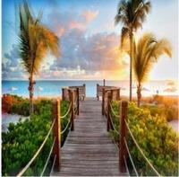 Opakowanie Malowanie po numerach Pomost palmy