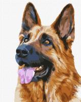 Malowanie po numerach - Prawdziwy przyjaciel 40x50. Wydawca: Ideyka. SmakLiter.pl Opakowanie Malowanie po numerach - Prawdziwy przyjaciel 40x50