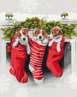 Opakowanie Malowanie po numerach - Prezent od Świętego Mikoła