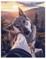 Opakowanie Malowanie po numerach - Przyjaciel 40x50cm