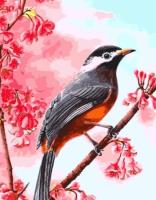 Malowanie po numerach - Ptak 30x40cm. Wydawca: Tobby. SmakLiter.pl Opakowanie Malowanie po numerach - Ptak 30x40cm