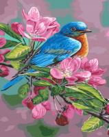 Opakowanie Malowanie po numerach Ptaszyna