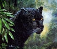 Opakowanie Malowanie po numerach Puma w leśnym klimacie