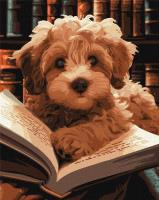 Opakowanie Malowanie po numerach - Puszysty czytelnik 40x50cm