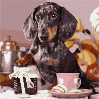 Opakowanie Malowanie po numerach - Puszysty kucharz 40x40