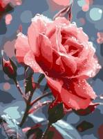 Opakowanie Malowanie po numerach - Róża na róży 30x40cm