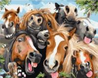 Opakowanie Malowanie po numerach - Selfie 40x50cm