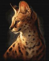 Opakowanie Malowanie po numerach Serwal