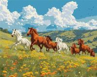 Opakowanie Malowanie po numerach - Siła i wdzięk 40x50cm