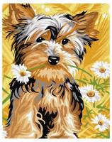 Opakowanie Malowanie po numerach - Słodki pies 40x50cm