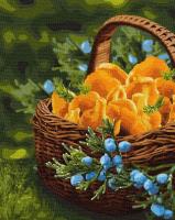 Opakowanie Malowanie po numerach - Słońce w koszyku 40x50cm