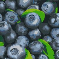 Opakowanie Malowanie po numerach - Soczysta borówka 25x25