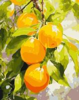 Opakowanie Malowanie po numerach - Soczyste cytryny 40x50cm