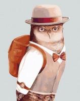 Opakowanie Malowanie po numerach - Solidna sowa 40x50cm