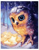 Opakowanie Malowanie po numerach - Sowa na śniegu 40x50cm