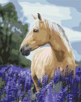 Opakowanie Malowanie po numerach - Spacer 40x50cm