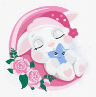 Opakowanie Malowanie po numerach - Śpiący króliczek 30x30cm