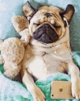 Opakowanie Malowanie po numerach - Śpiący mops 40x50cm