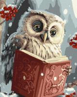 Opakowanie Malowanie po numerach - Sprytna sowa 40x50cm