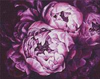 Opakowanie Malowanie po numerach - Szaleństwo kolorów 40x40cm