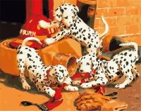 Opakowanie Malowanie po numerach - Szczeniaki 40x50cm