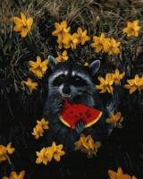 Opakowanie Malowanie po numerach - Szop i arbuz 40x50cm