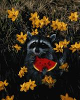 Opakowanie Malowanie po numerach  Szop i arbuz