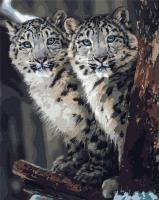 Opakowanie Malowanie po numerach - Tajny nadzór 40x50