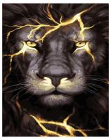 Opakowanie Malowanie po numerach - W środku ognia 40x50cm