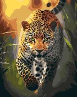 Opakowanie Malowanie po numerach - Wdzięku drapieżnika 40x50