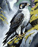 Opakowanie Malowanie po numerach - Wędrowiec na skale 40x50cm