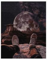 Opakowanie Malowanie po numerach - Widok księżyca 40x50cm