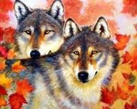 Opakowanie Malowanie po numerach Wilk i wilczyca wśród wiosennych liści