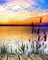 Opakowanie Malowanie po numerach Zachód słońca nad jeziorem ptaki