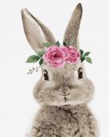 Opakowanie Malowanie po numerach Zając z wieńcem