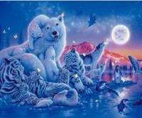 Opakowanie Malowanie po numerach Zwierzęta polarne nocą