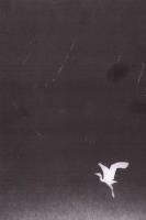 Manowce. Autor: Tomasz Berrached. SmakLiter.pl Okładka książki Manowce