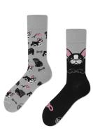 Many Mornings Skarpetki długie The Little Dogs. Producent: Many Mornings. SmakLiter.pl Zdjęcie produktu Many Mornings Skarpetki długie The Little Dogs