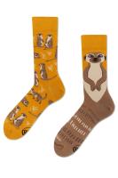 Many Mornings Skarpetki długie The Meerkat. Producent: Many Mornings. SmakLiter.pl Zdjęcie produktu Many Mornings Skarpetki długie The Meerkat