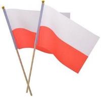 Opakowanie Materiałowa flaga na patyczku (2szt)