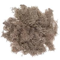 Mech brązowy 30g. Wydawca: Dalprint. SmakLiter.pl Opakowanie Mech brązowy 30g